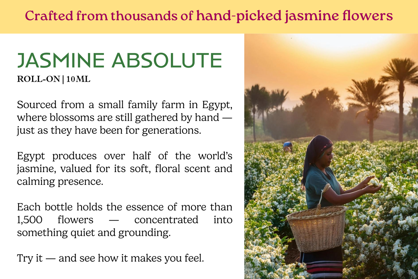 Jasmine Absolute — Perfume Oil (10ml)